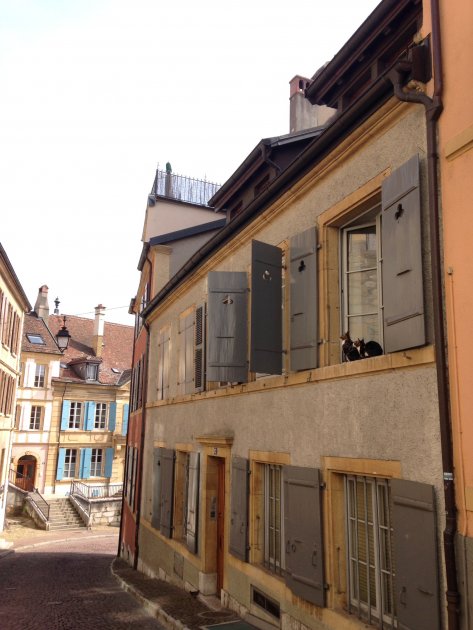 Photo 31-03-14 11 54 27