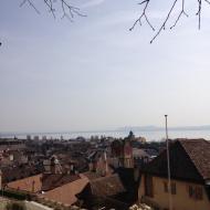 Photo 31-03-14 12 08 28