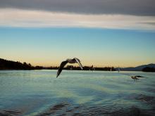 Chiemsee, Germany