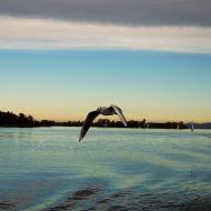 Chiemsee, Germany
