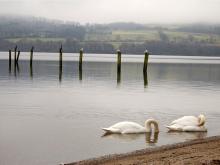 Loch Lomond, Scotland