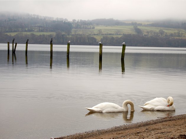 Loch Lomond, Scotland