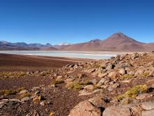 Laguna Blanca, Bolivia
