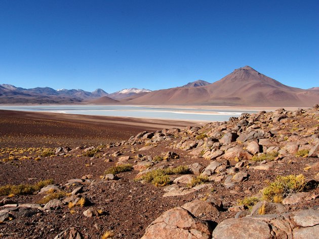Laguna Blanca, Bolivia