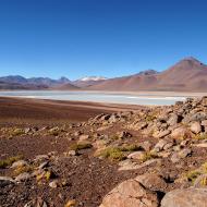 Laguna Blanca, Bolivia