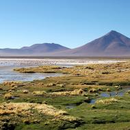 Laguna Colorada, Bolivia