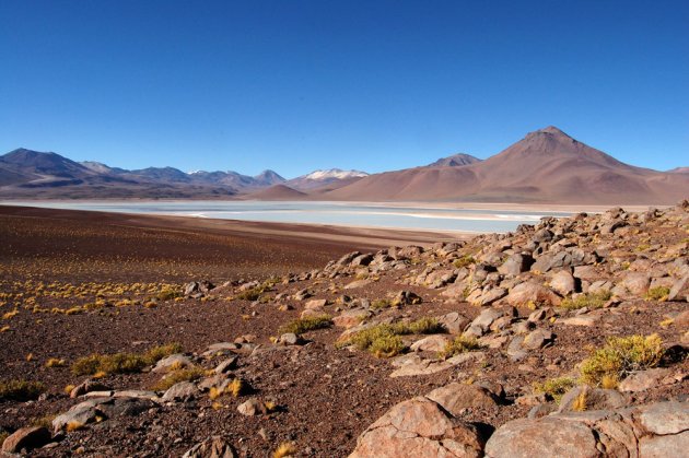 Laguna Blanca in Bolivien