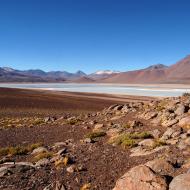 Laguna Blanca in Bolivien