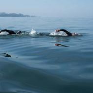 Swimming #2