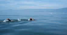 Swimming #3