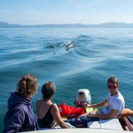 Following the boat